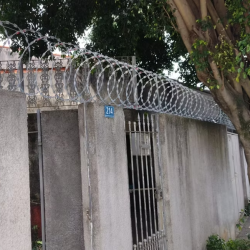 Captura de tela 2025-04-23 115333