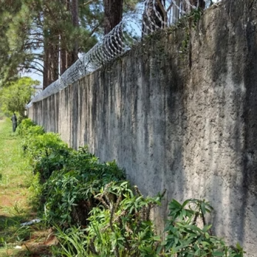 Captura de tela 2025-04-23 115359